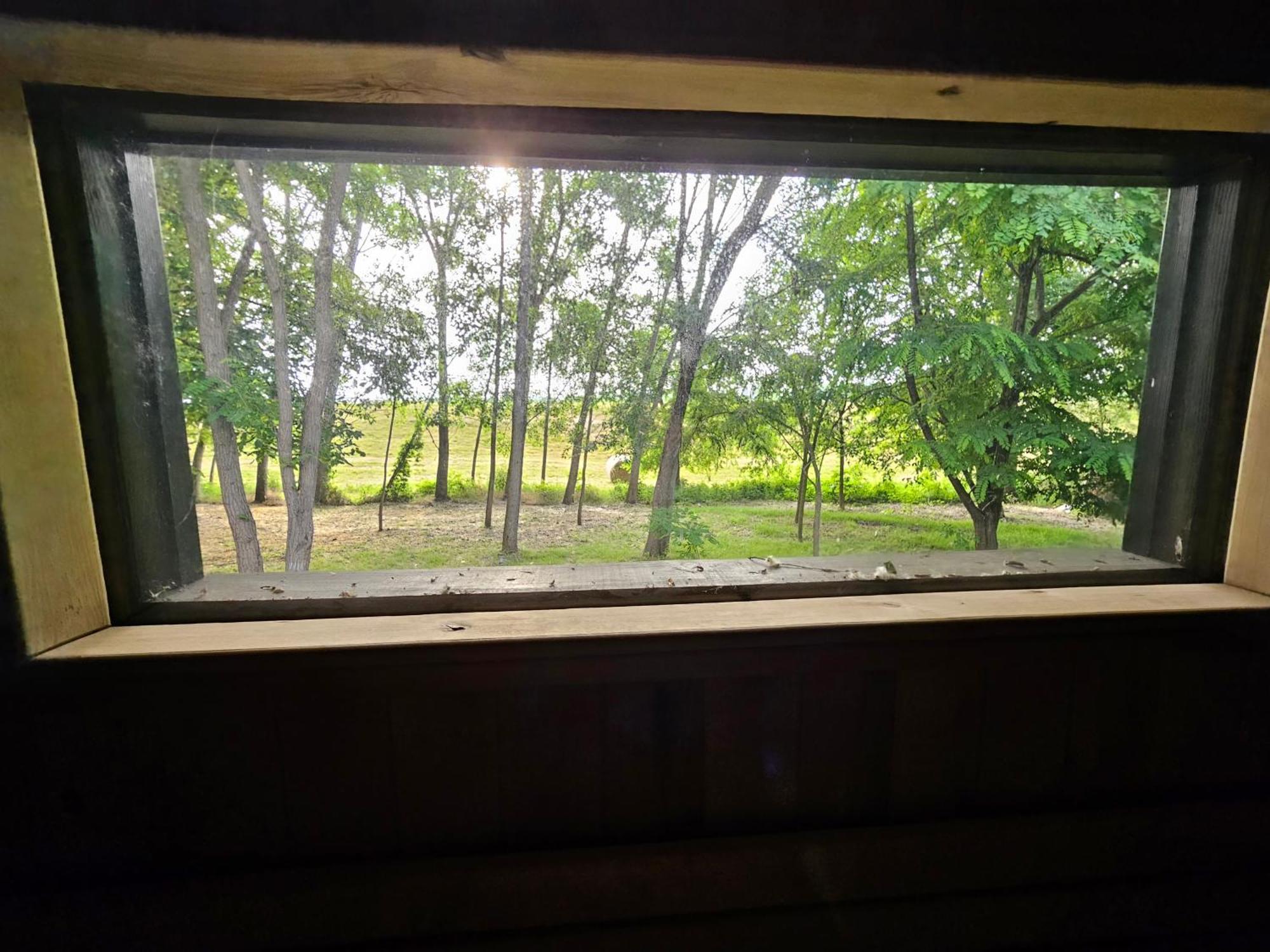 Meszes Apartman Kalocsa Rom bilde